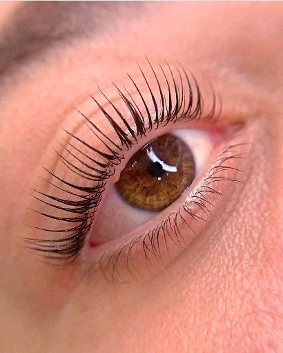 Lash Lift + Tint