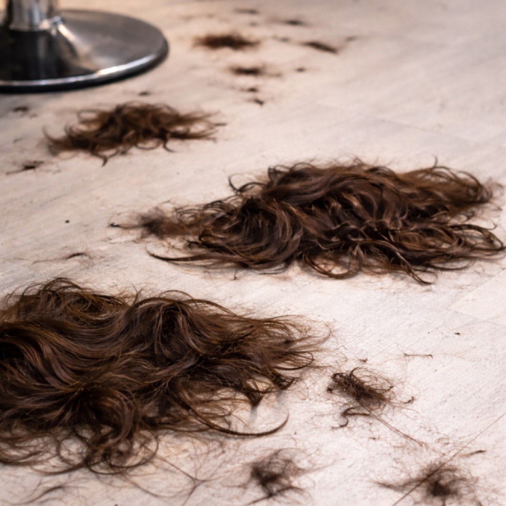 Transformation Haircut at WAVE Hair Studio in Beaver Dam, WI