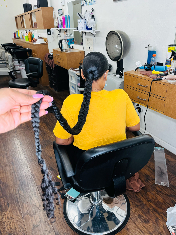 Sleek BRAIDED Ponytail