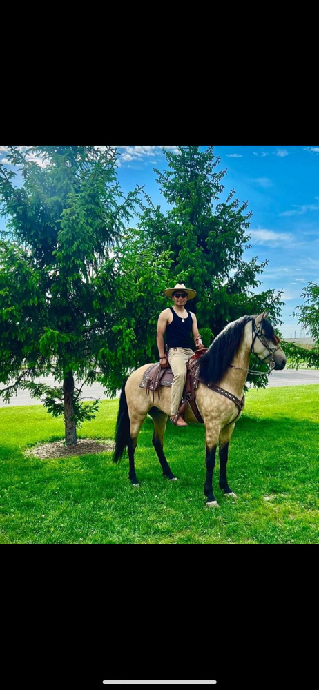 Horse Rental