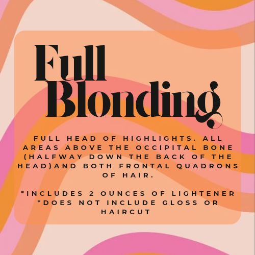 Full Blonde at Eco Hair + Beauty in Chesterfield, MI