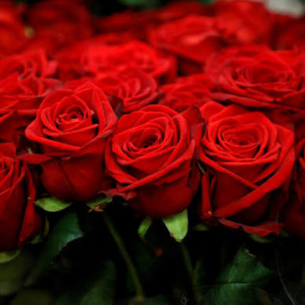 Love & Restore Massage