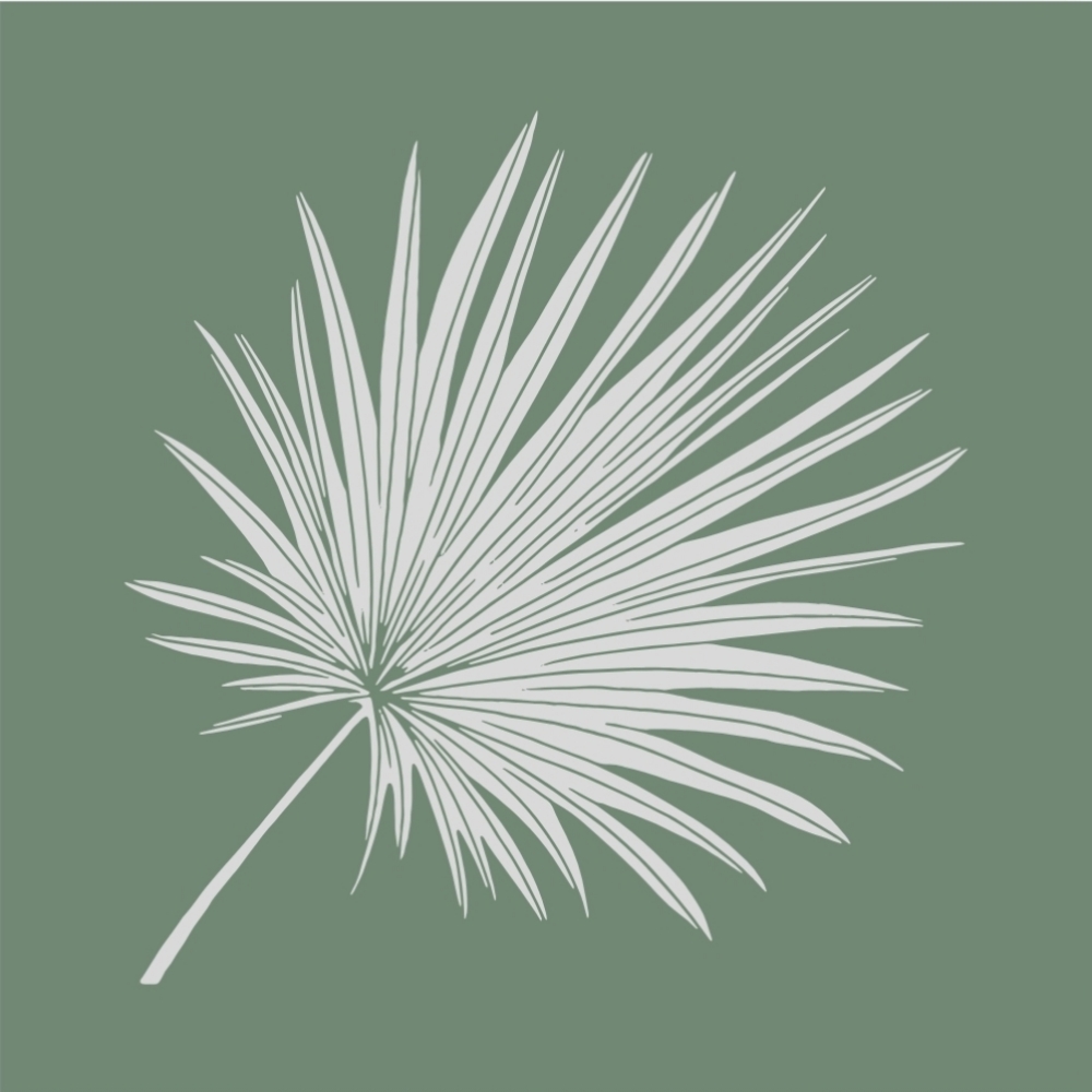 Lash Treatment at The Skin You're In in Overland Park, KS