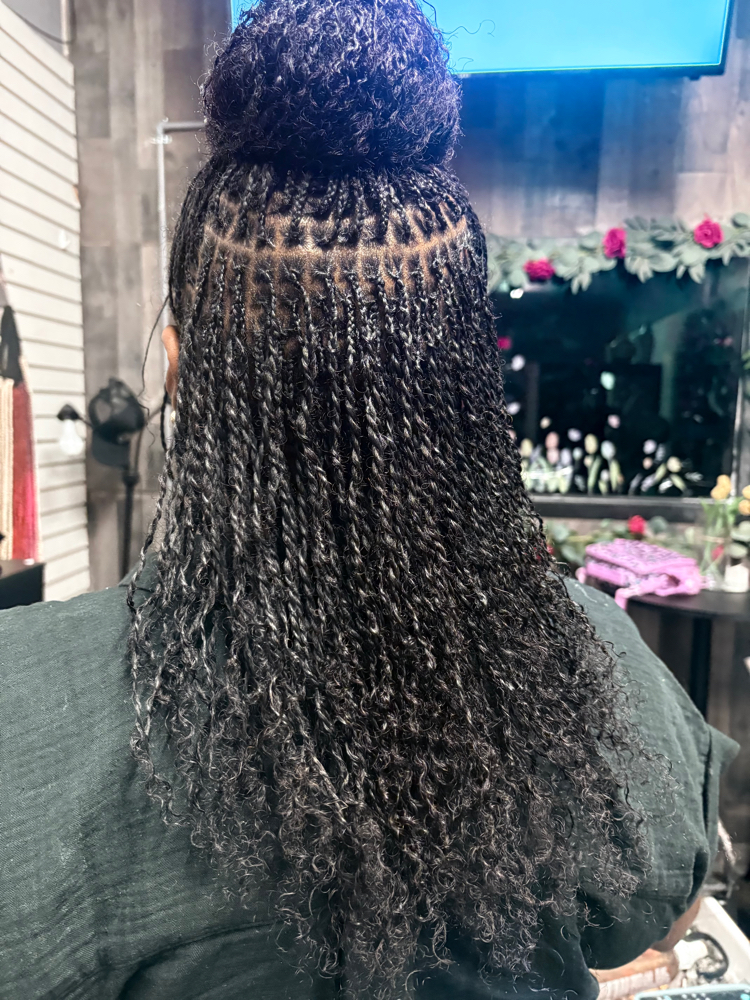 Mircolocs Extensions Pass Shoulders