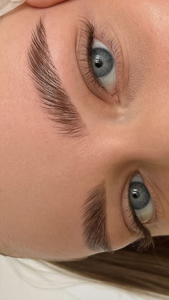 Sleek Brow Lamination at Botanique skin club in LA HABRA, CA