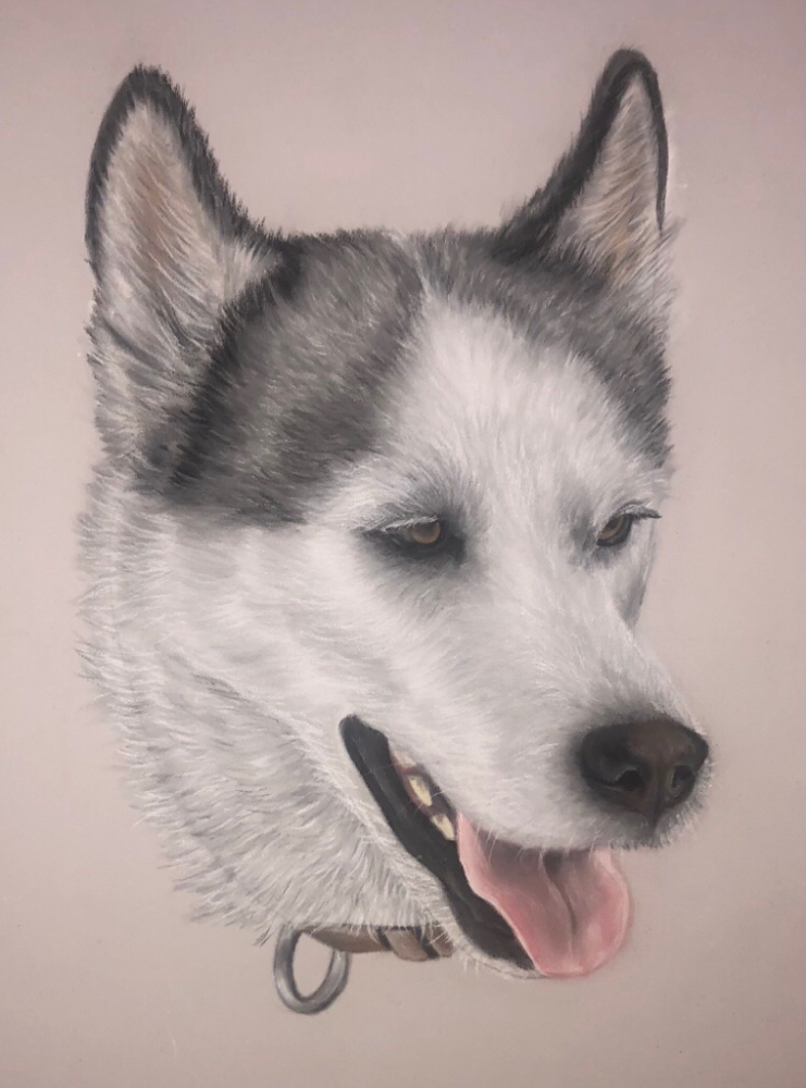 Custom Pet Portrait