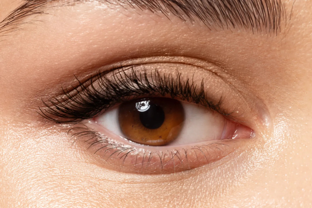 Lash Tint