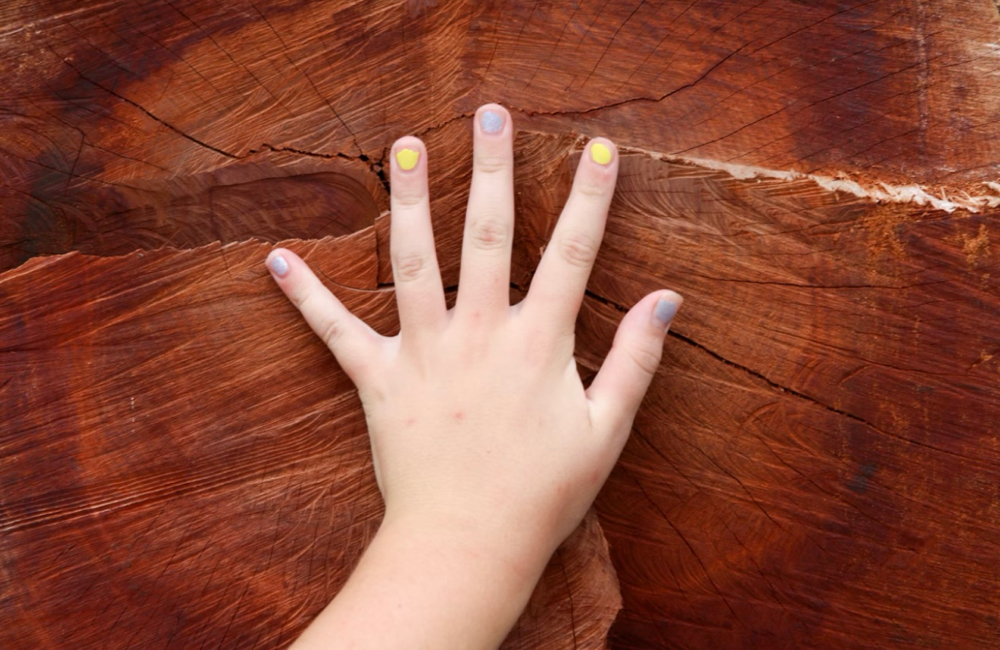 Manicure Kids at RÊVE in Stamford, CT