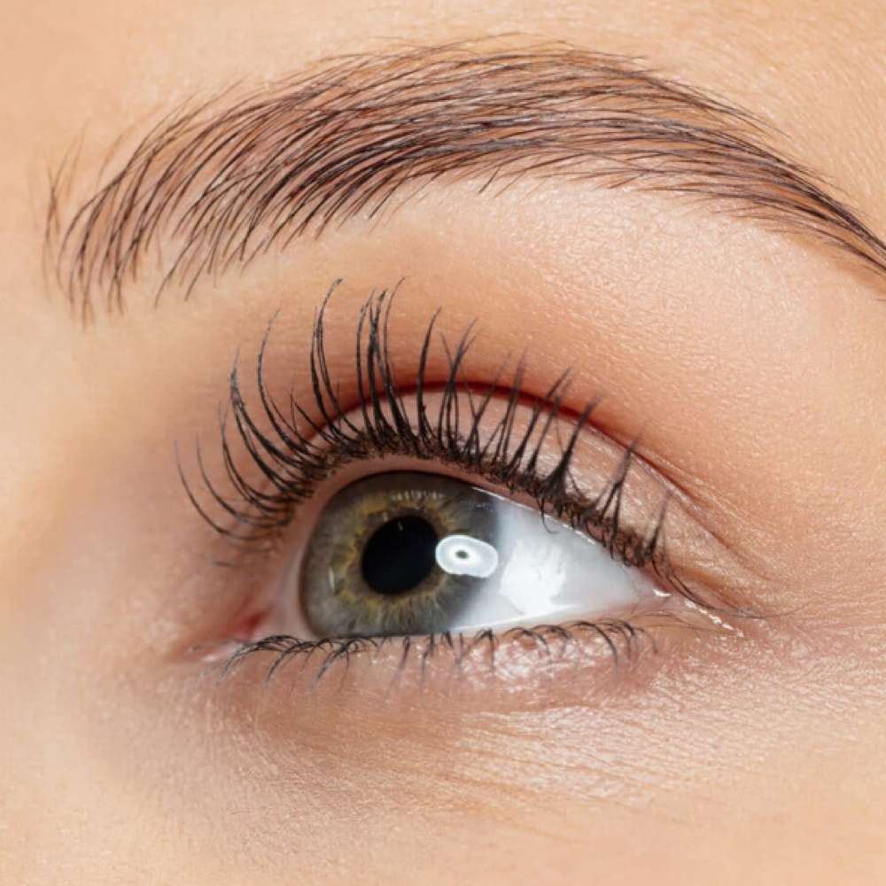 Eyelash Lift at The Beauty Collective in Peabody, MA