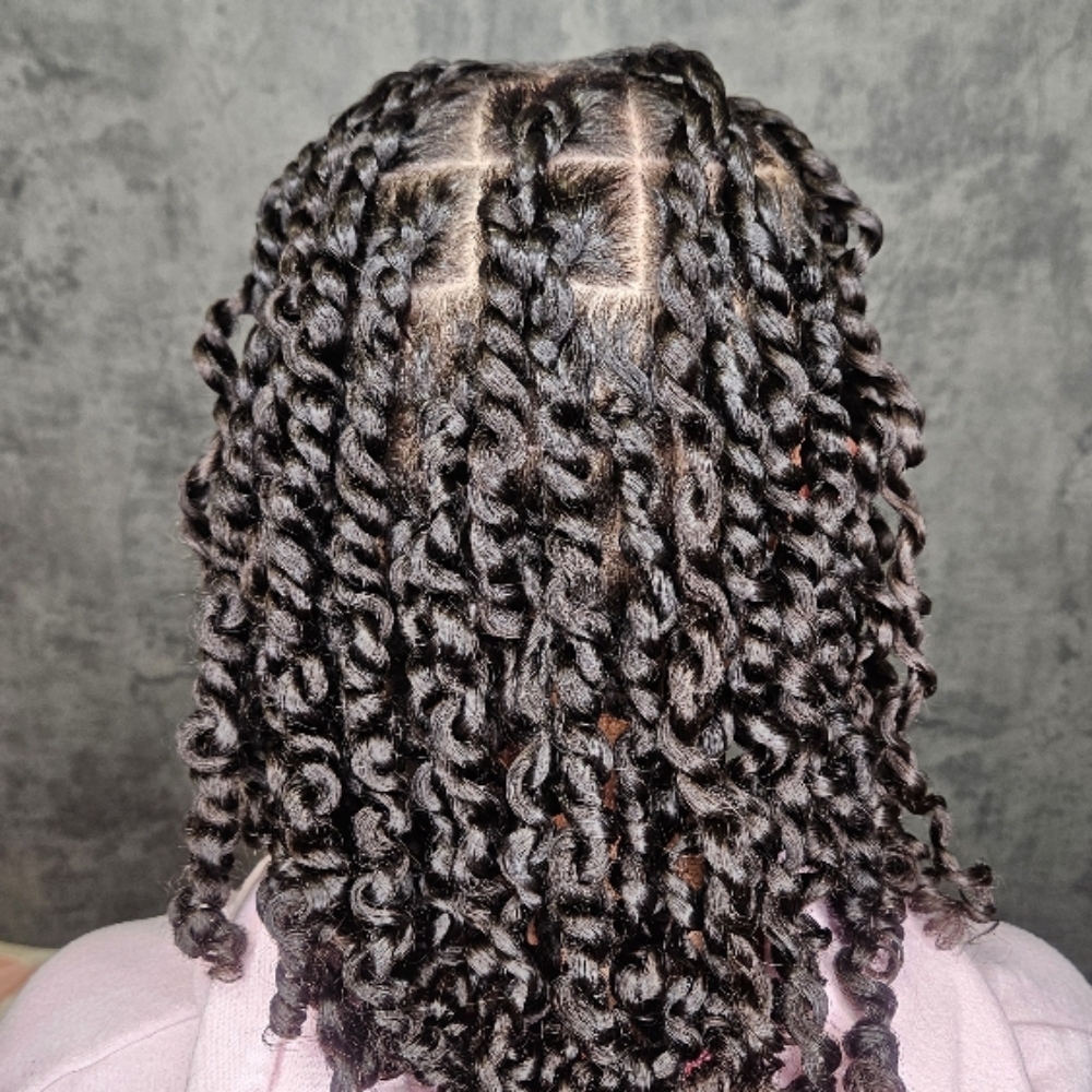 Two Strand Twist IN w/Hydration at Curl Access Inc Salon in Snellville, GA