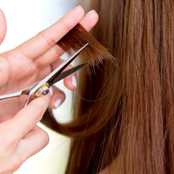Maintenance Haircut at Hair by Wendy Walker in Bloomington, IL