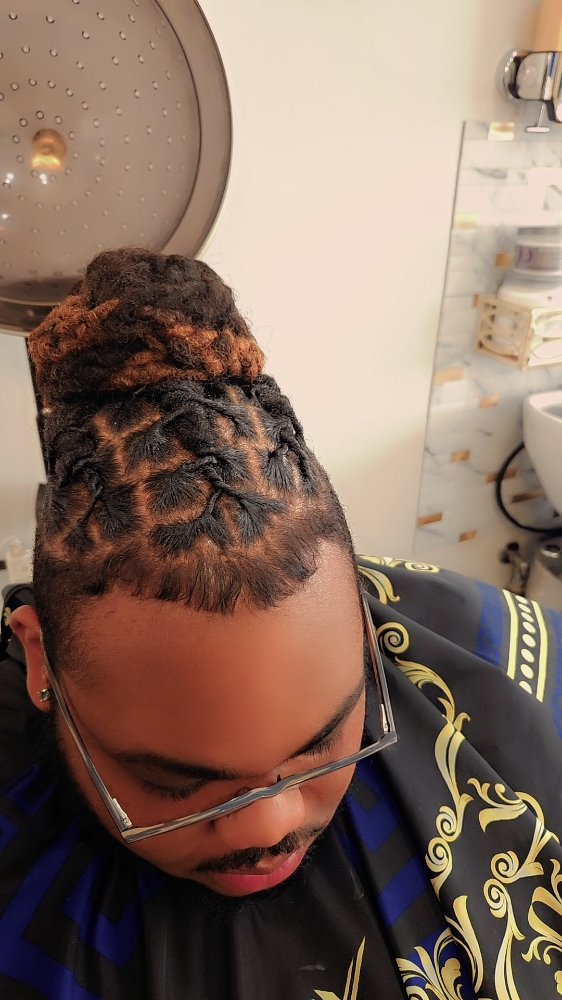 Shoulder Length Loc Maint/pinup