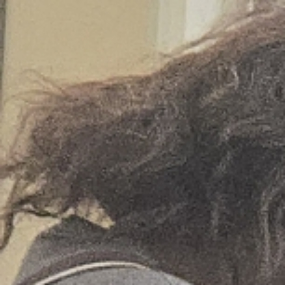 Matted Hair Detangling at Dreamcuts and Styles Hair Salon in Fulshear, TX