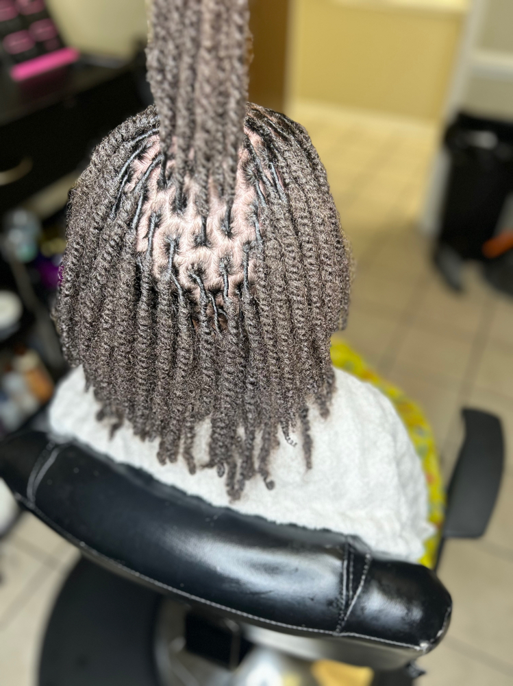 Children Starter Locs ( Two Strand
