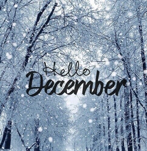 ❄️Hello December ❄️