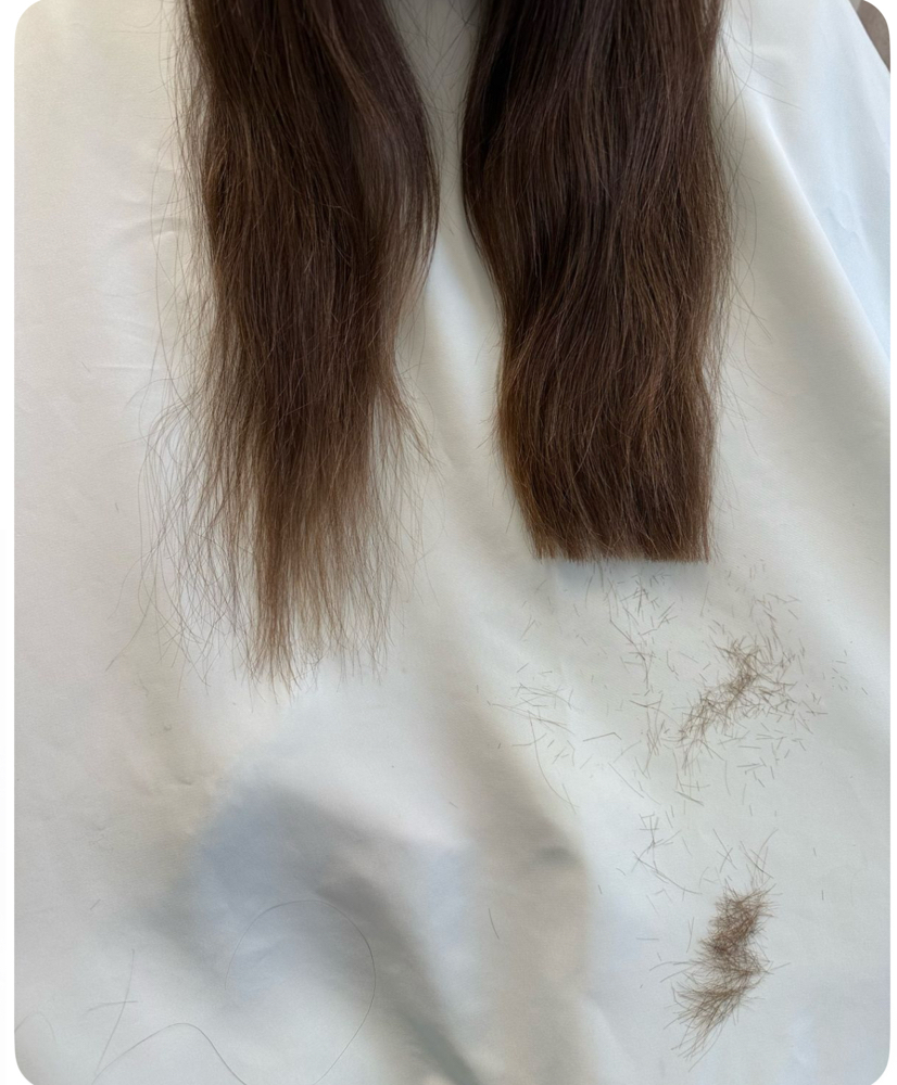 Kids Haircut 12 & Under