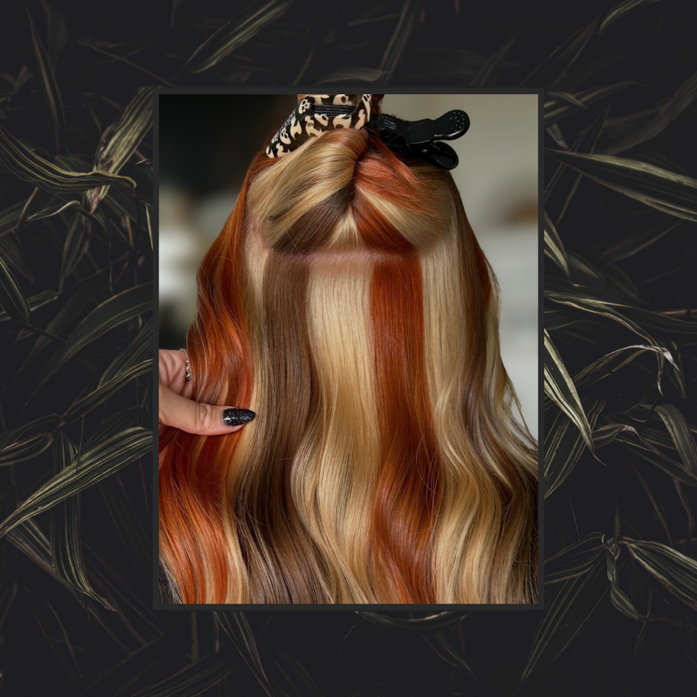 Vivid Color at Alchemy Hair Studio HKY in Hickory, NC