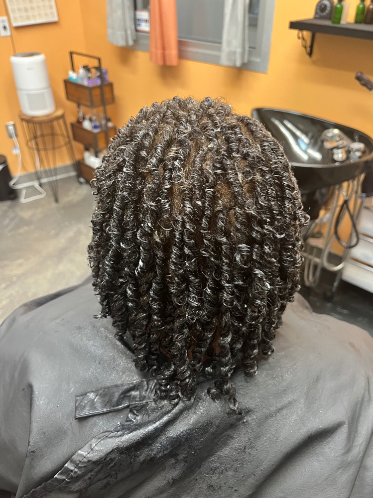 2 Strand Twist (level 2)