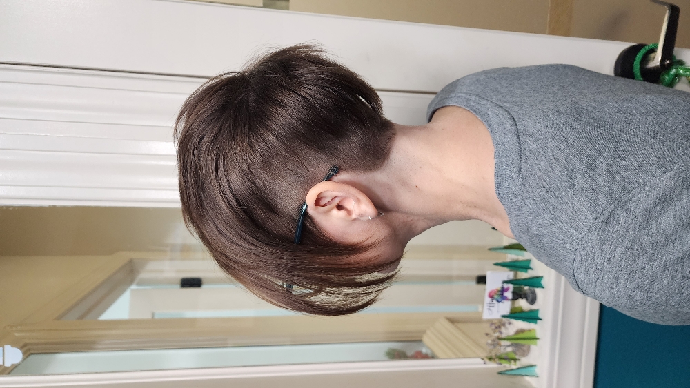 Silent Clipper/short Haircut