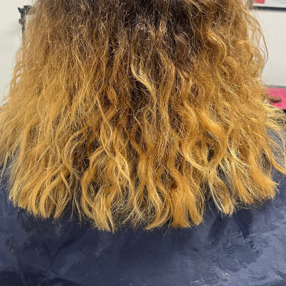 PRECISION TRIM at Jenn The Genie in Woodland Hills, CA