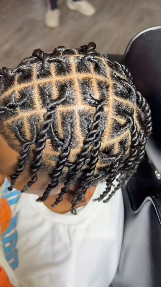 Male Two Strand Twist