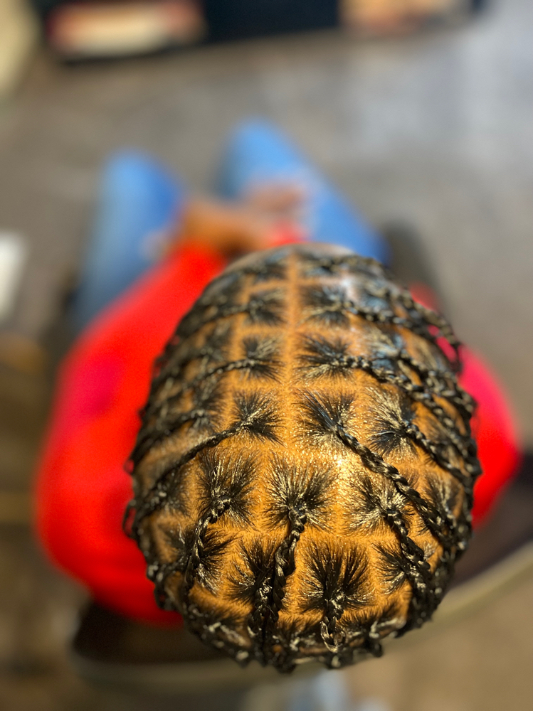 Natural Twist/Braids Small