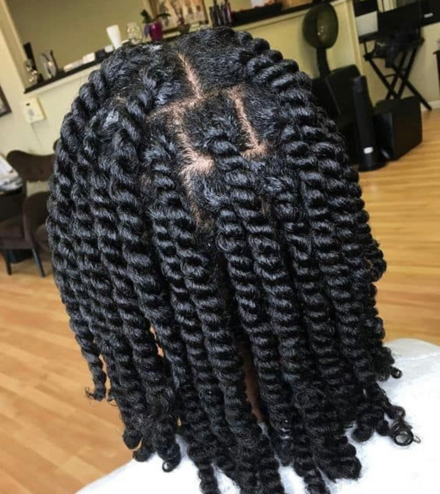 2 Strand Twist Natural Hair Style