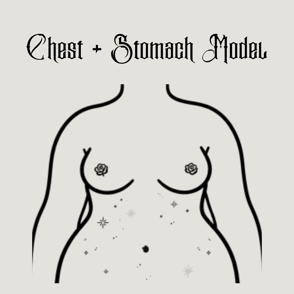 Chest + Stomach (Model) at All Bodies in Santa Ana, CA