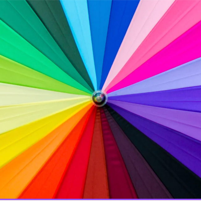 Color Analysis at Courtney James in SYLVANIA, OH