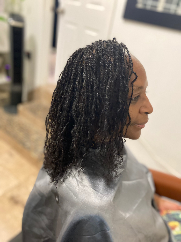 Micro Two Strand Twist Extensions