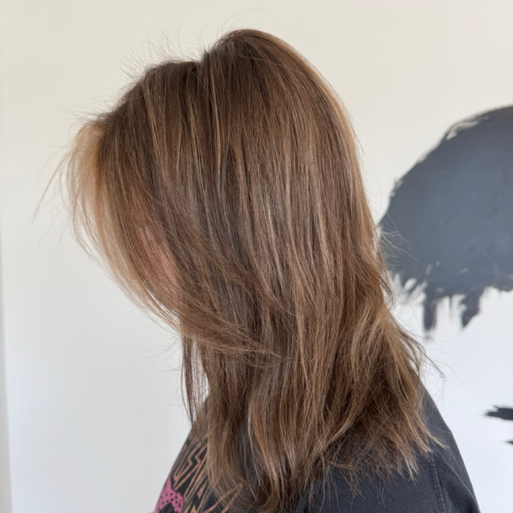 Partial Highlight W/ Color at Gracefully Styled in Gastonia, NC