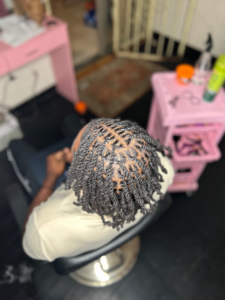 Loc 2 Strand Twist *retwist Include