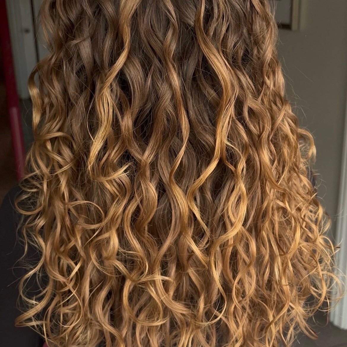 Custom Curly Cut + Style at Curls by Alyssa Jean