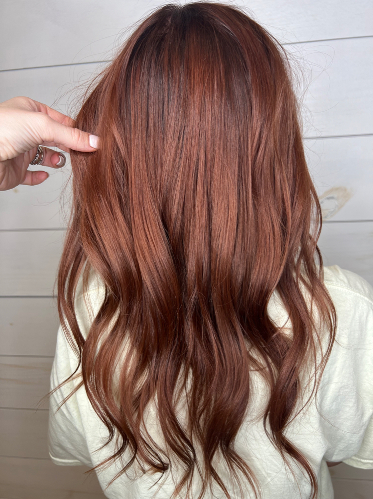 Single Process Color / Haircut
