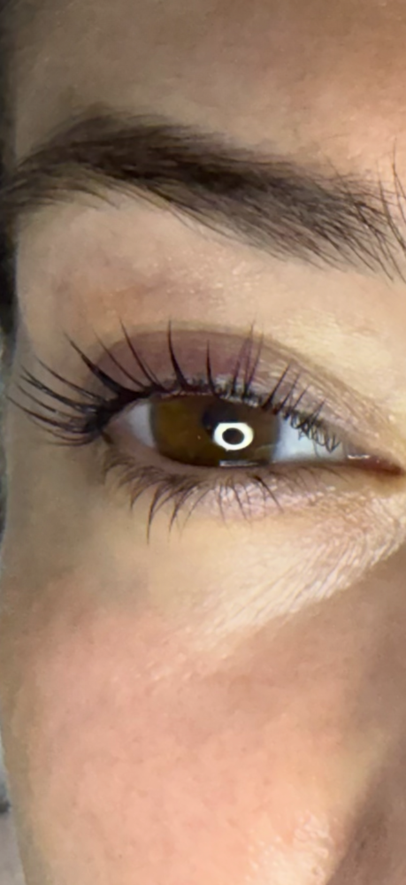 The Lash Tint 🤍