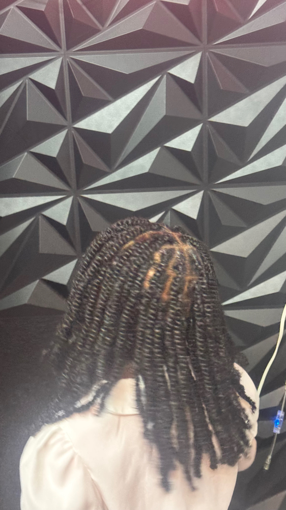 Two Strand Twists at Shirley Williams in Little Rock, AR