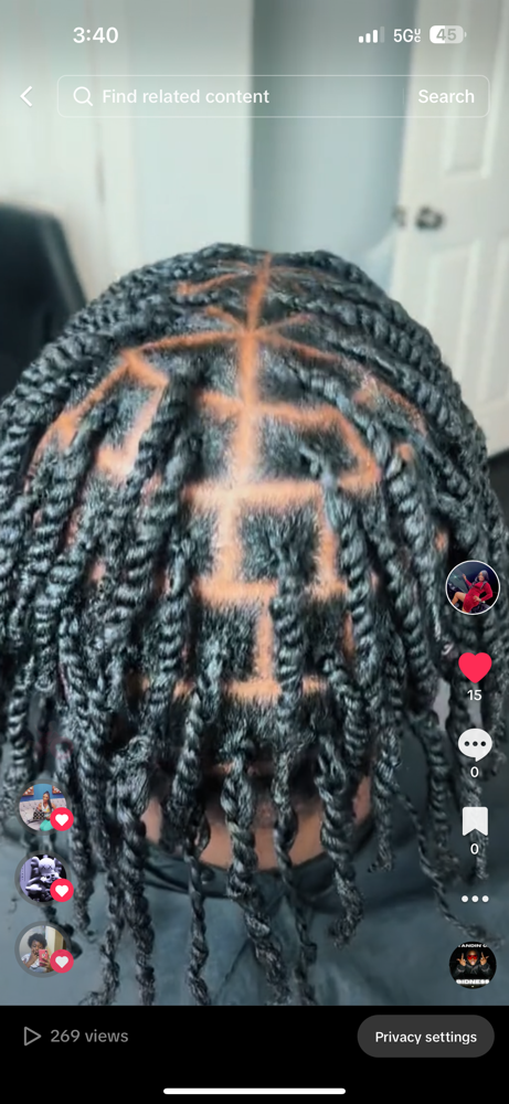 Two Strand Twists