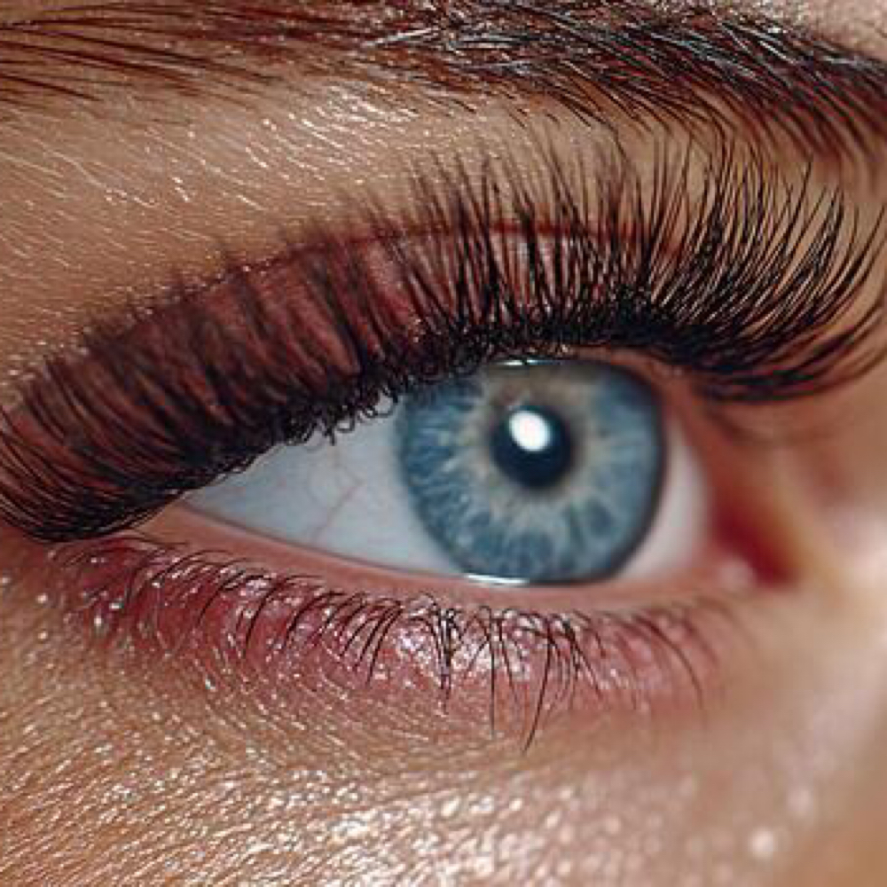 Korean Lash Lift & Tint at SKINDESIGN BY SAM D. in Massapequa, NY