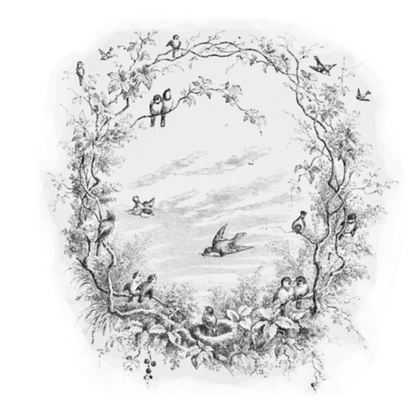 Bird Wreath - 2 Sessions