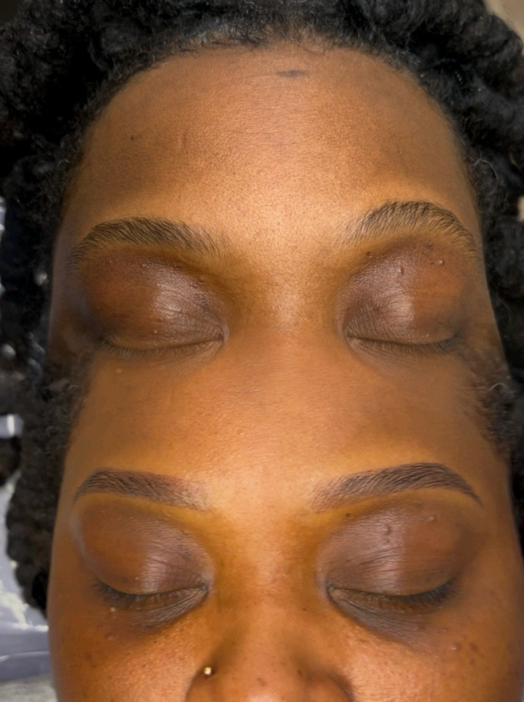 Ombre |Microshading Touch Ups at LuvlyBrows in Portsmouth, VA