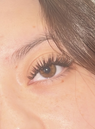 Brown Lashes