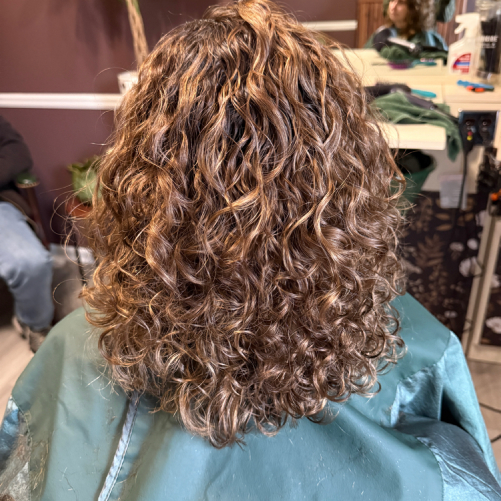 Root Touchup at Hair with Ceci in Okemos, MI