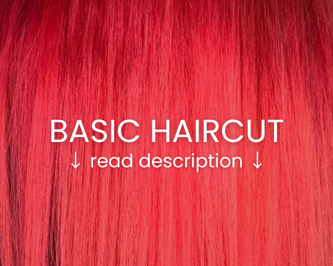 Basic Haircut