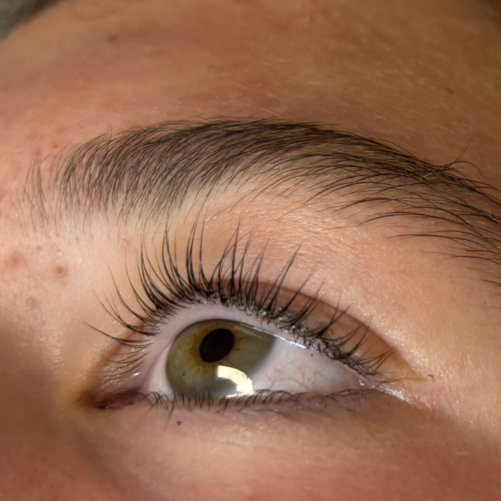 Lash Lift & Tint at Taryn & Co in Adrian, MI