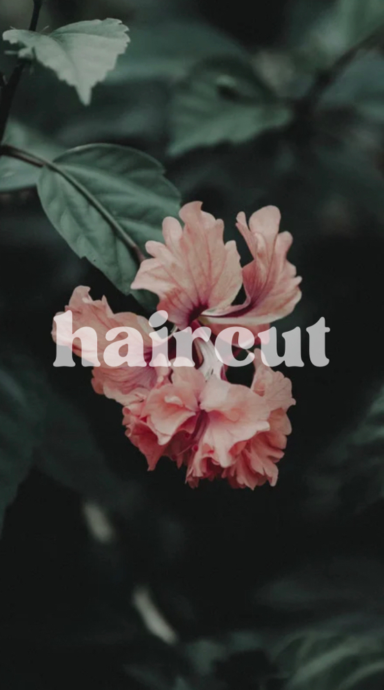 Haircut