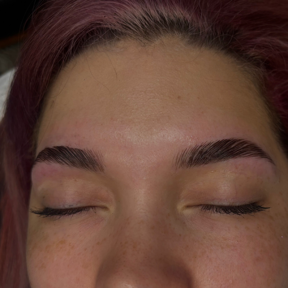 Brow Map, Wax, And Lamination at Karly’s Esthetics in Roscommon, MI