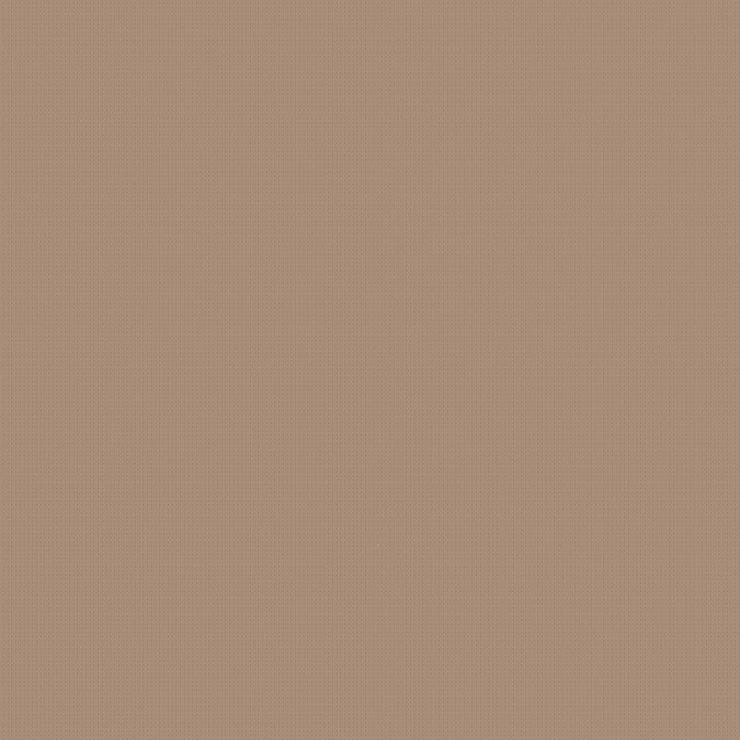 THE FULL BROW PACKAGE at Blink Studio in Coralville, IA