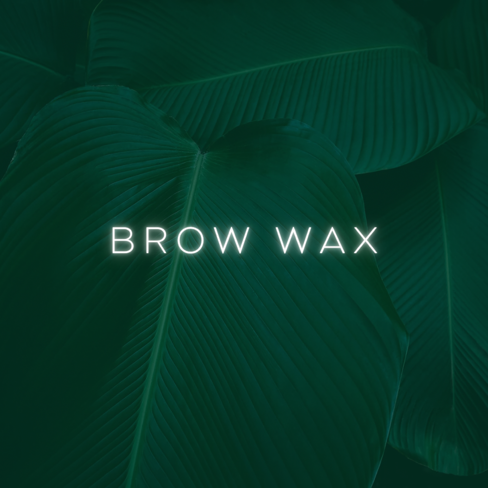 Brow Wax at Femme Lab Esthetics in Chicago, IL