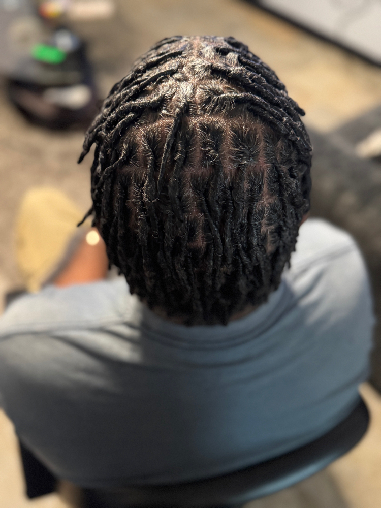 Starter Locs