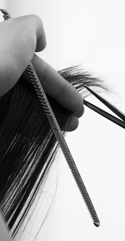 Shampoo, Cut, & Style